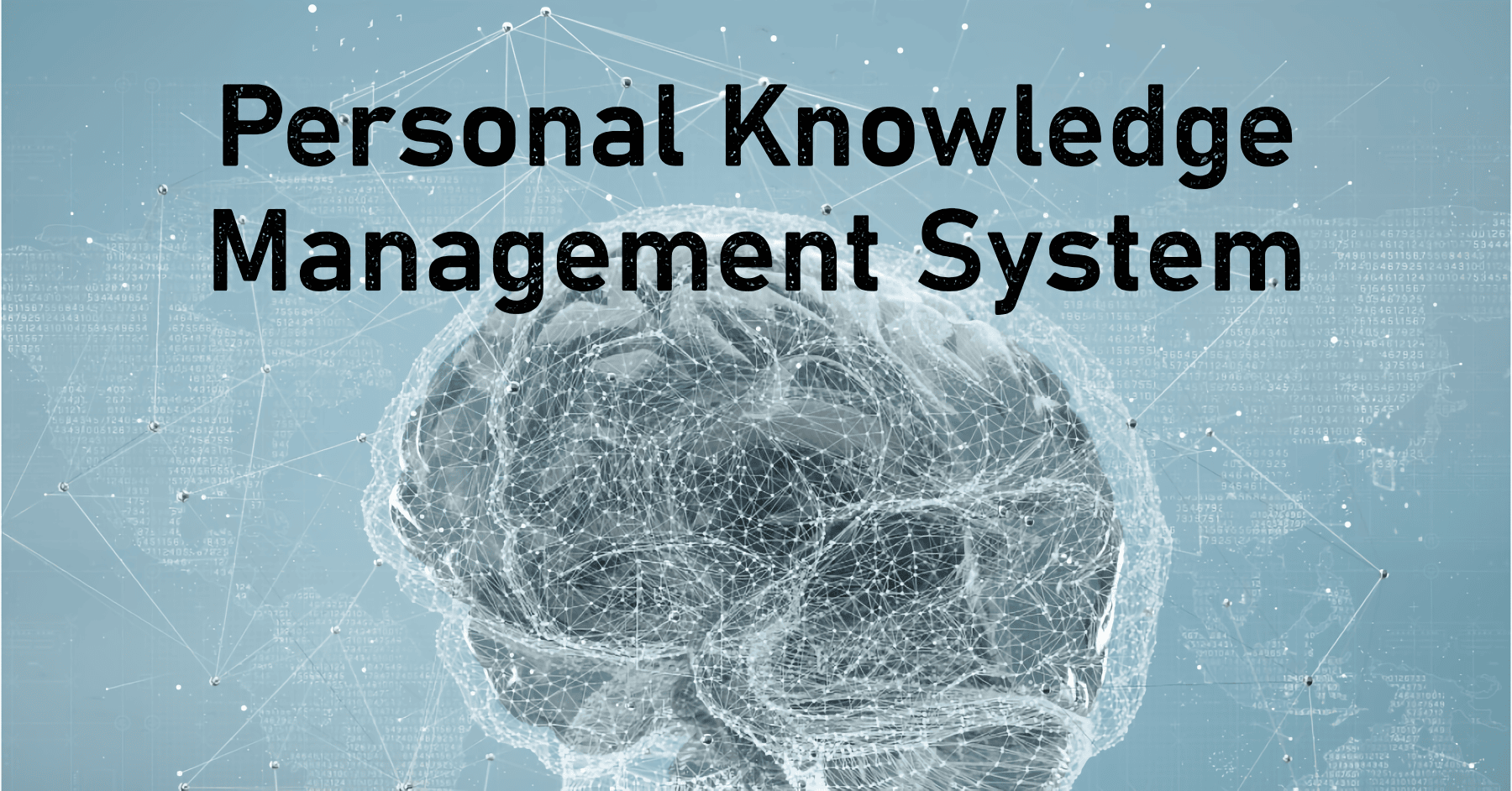 knowledge management personal statement